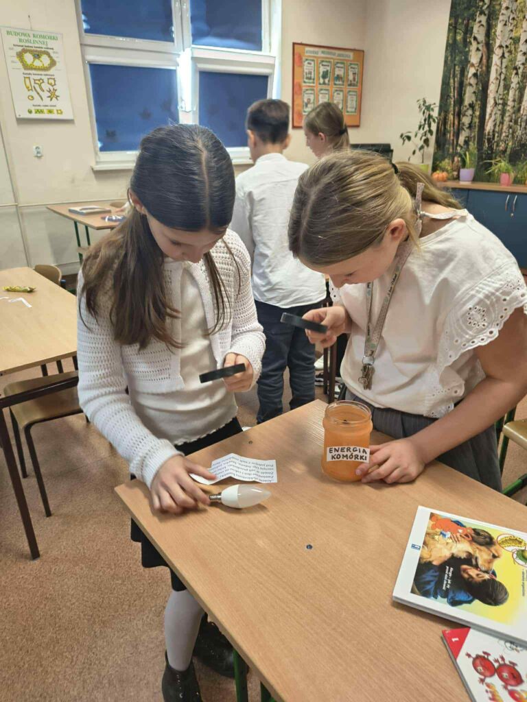 att.6QSEGWcMQ2xMw0y QVip8dR3DMLpqAc1AdPKtu32lV0