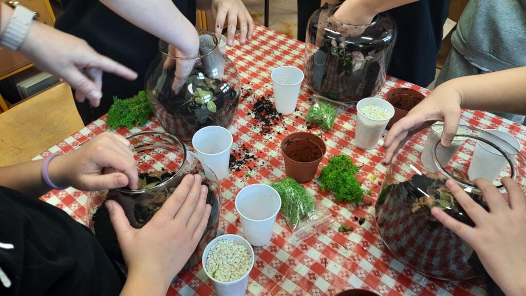 62dc0c18 5aad 4b93 8e11 8e3f3e87c90f