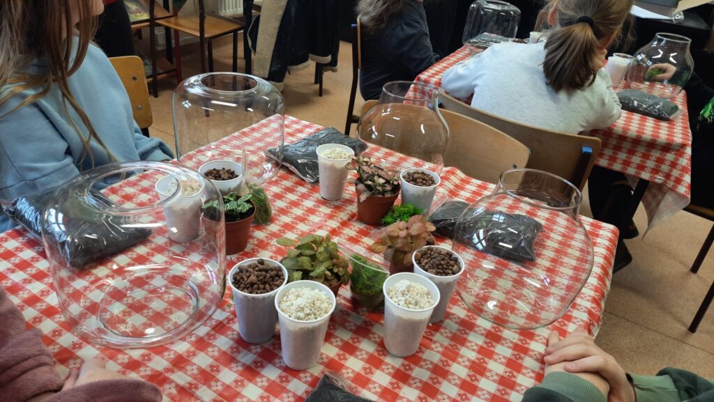 65bb4553 1789 4b63 8107 26aba5eb1868