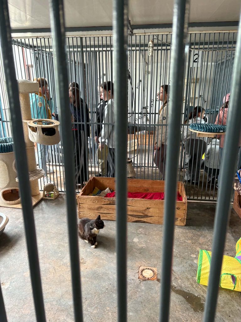 1000009120